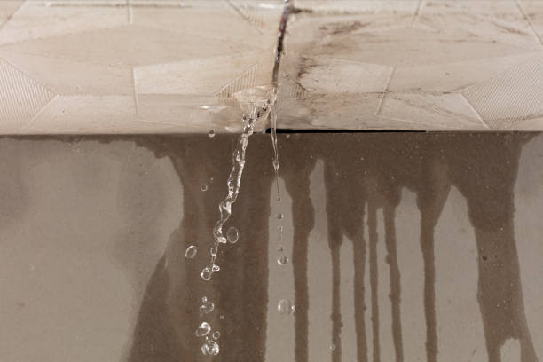 Professional Structural Drying technician working in Philo, OH